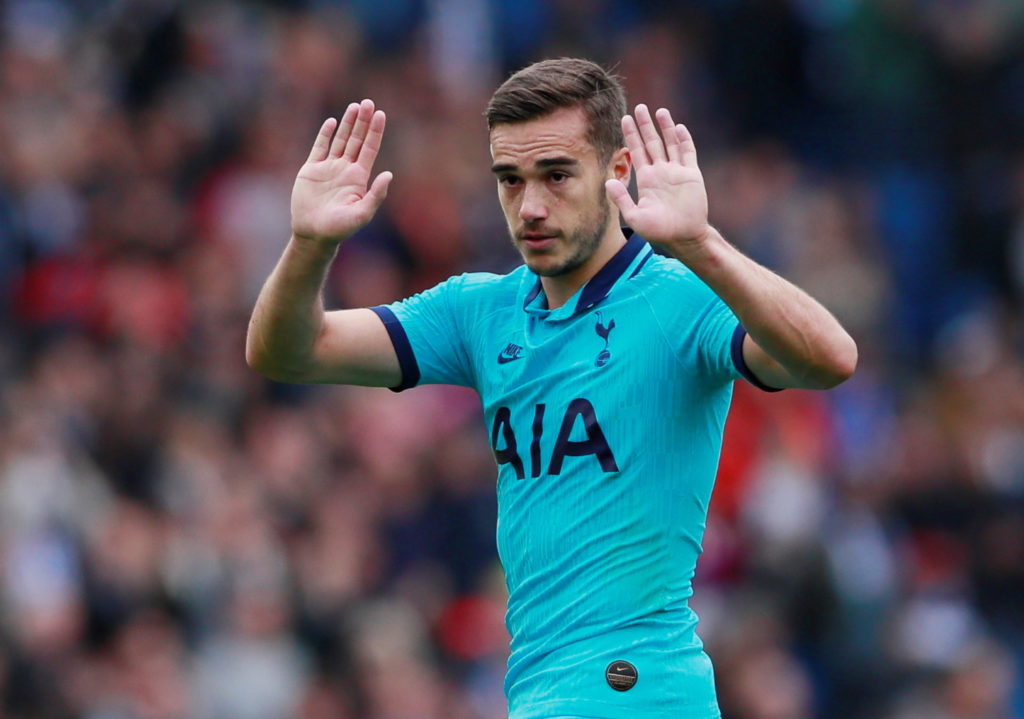 Harry Winks insists Tottenham's players are fully behind under-pressure boss Mauricio Pochettino and are determined to get through the current "dark times".